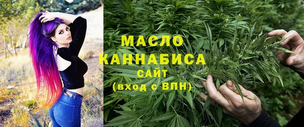 таблы Бородино