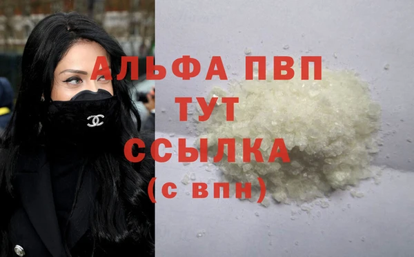 таблы Бородино