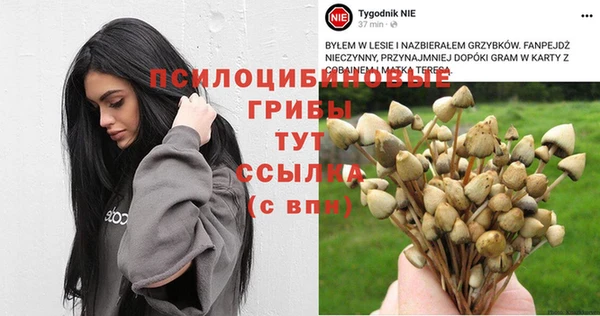 таблы Бородино