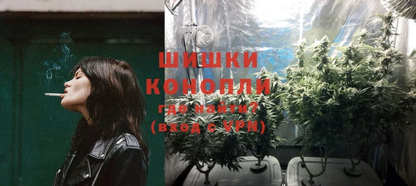 таблы Бородино
