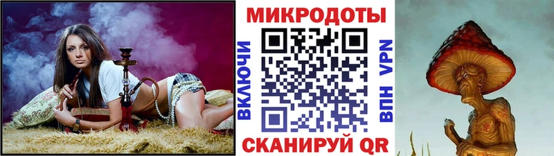 где найти Будённовск Псилоцибиновые грибы Psilocybine cubensis