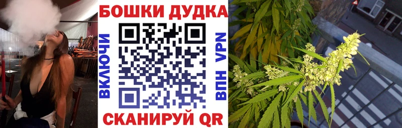 Канабис семена  где продают наркотики  Будённовск 